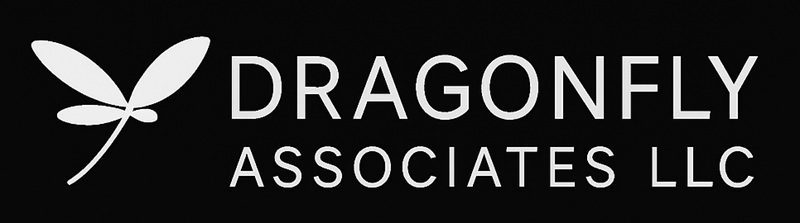 Dragonfly Assocaiates LLC